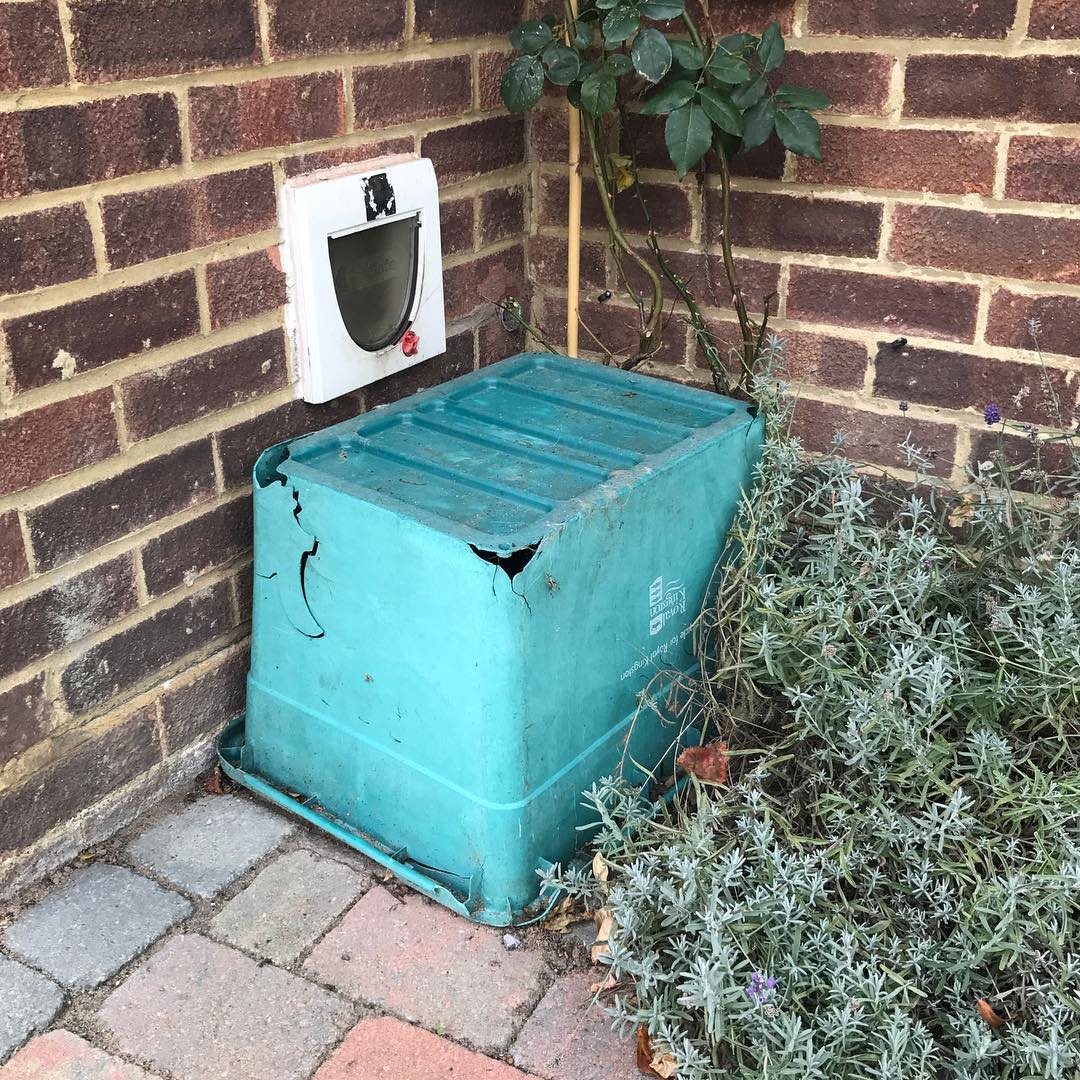 mathew-wilson-wishes-he-was-richard-wentworth-making-do-and-getting-by-cat-flap