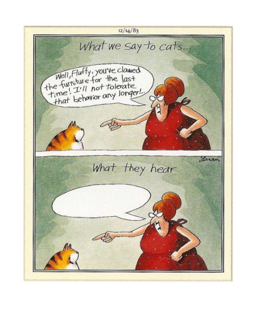 A Far Side comic. Panel one is titled "What we say to cats" and shows a bemused cat being pointed at by a women who is shouting "Well, Fluffy, you've clawed the furniture for the last time! I'll not tolerate that behaviour any longer!" Panel two is titled "What they hear" and shows the same scene but the speech bubble is empty. 