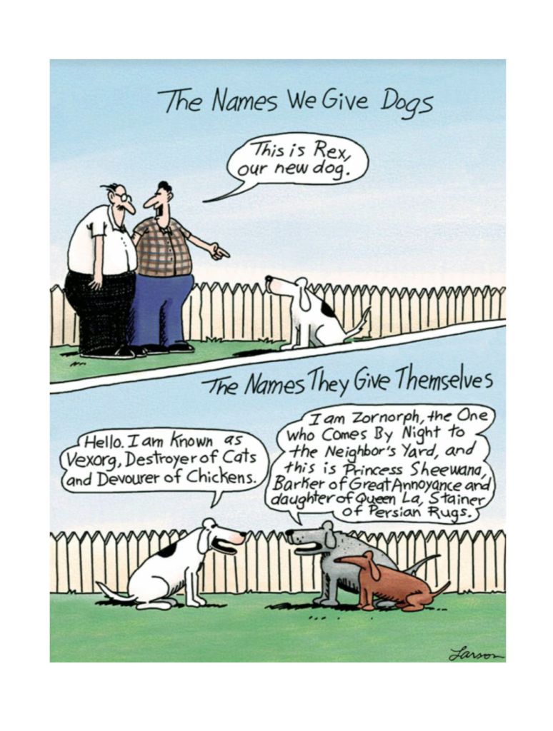 A Far Side comic. Panel one is titled "The names we give dogs". A person is pointing at their dog and introducing it to another person. They say "This is Rex, our new dog." In the second panel titled "The names they give themselves" Rex is saying to two other dogs "Hello. I am known as (Vexorg, Destroyer of Cats (and Devourer of Chickens." while one of the other dogs is saying "I am Zornorph, the One (who Comes By Night to the Neighbor's Yard, and this is Princess Sheewana, Barker of Great Annoyance and daughter of Queen La, Stainer of Persian Rugs"