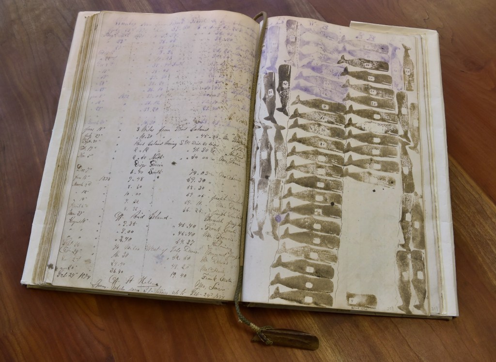 An open notebook on a table. The open book has a hand written table of data on the left and whale shaped stamps covering the right page. A small whale stamp is attached to the the end of the string bookmark  
