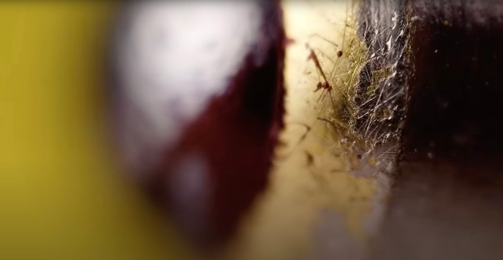 Blurry curved vertical shapes with one sharp image area that looks more like meteor impacts on the surface of a planet, rather than the reality of them being tiny scratches in the surface of the metal pen head