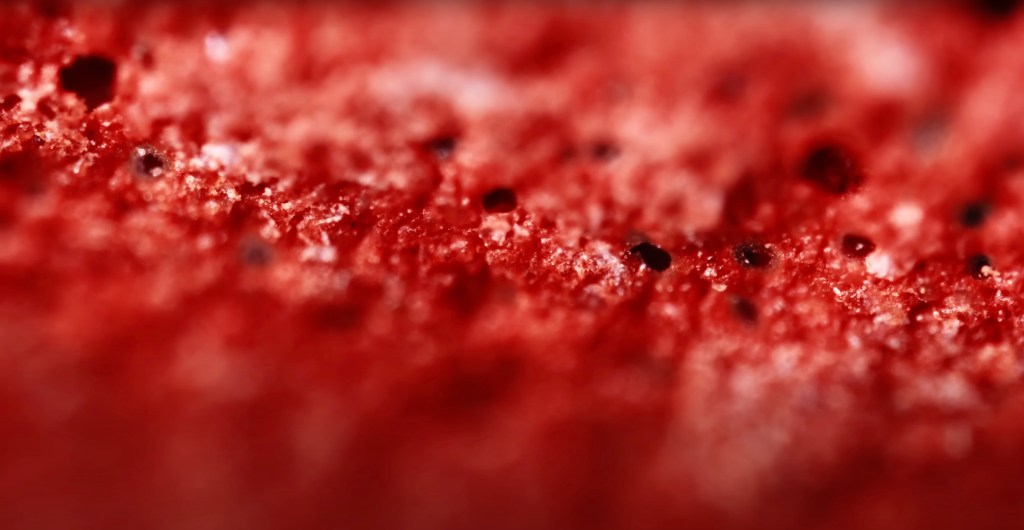 Blurry red landscape with black dots, but really it's the tiny texture of the chemicals on the head of a match. 