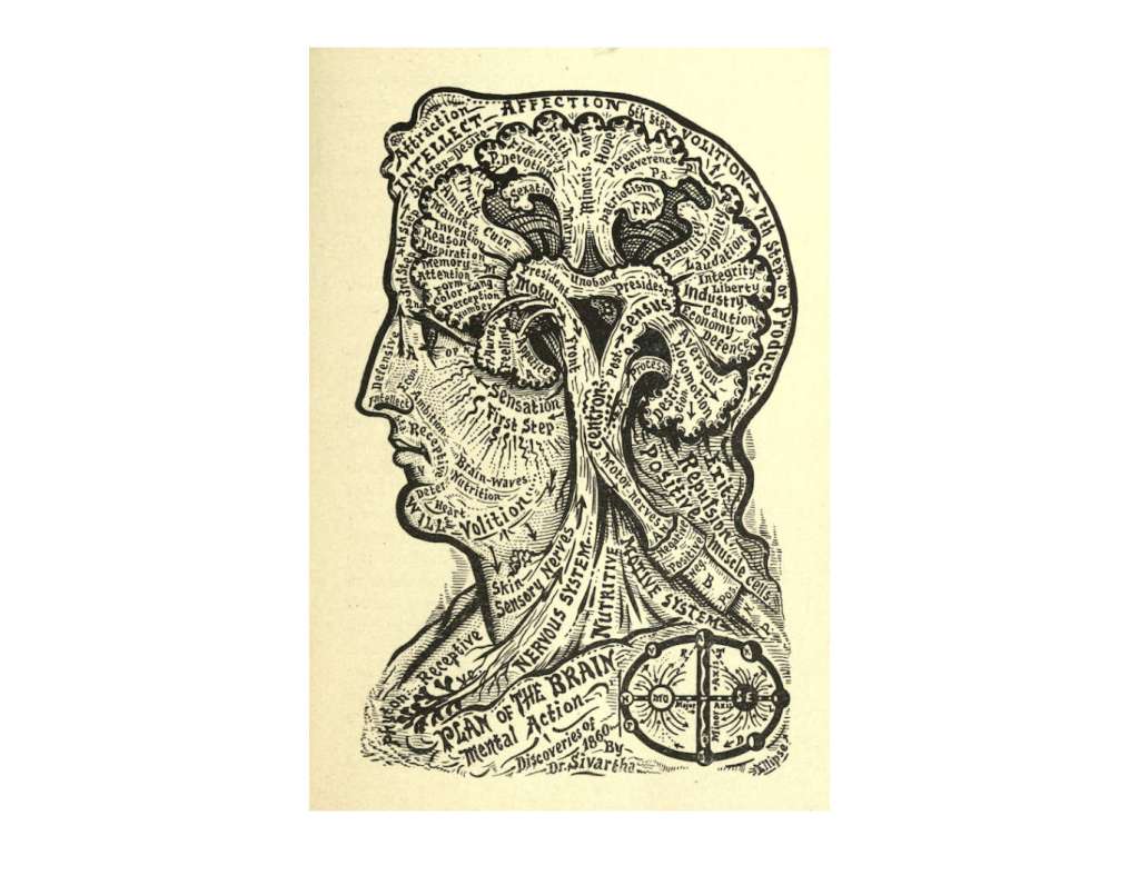 Illustration of what appears to be the cross section of a persons head, wherein paths and areas that's don't really look brain-like, have words like intellect, affection, volition, and nervous system.